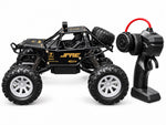 CARRO CONTROL REMOTO (2096)